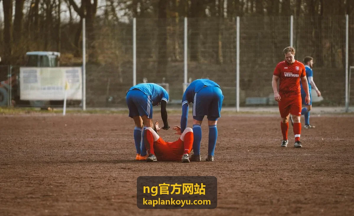 ng官方网站使用指南中的操作界面与步骤示意