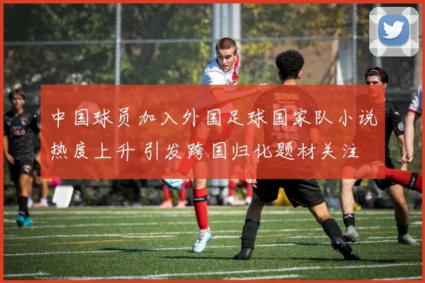 中国球员加入外国足球国家队小说热度上升 引发跨国归化题材关注