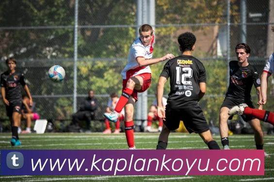 完美体育唯一官网 - 完美(中国)APP 封面图